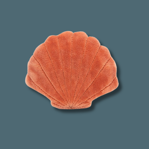 Back of scallop