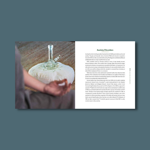 Interior pages