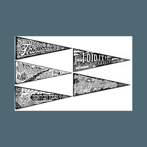 Small Victory Pennants Magic Velvet Coloring Set