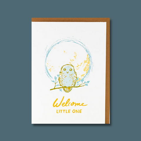Owl on branch