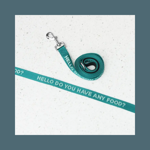 Green leash with white text on it
