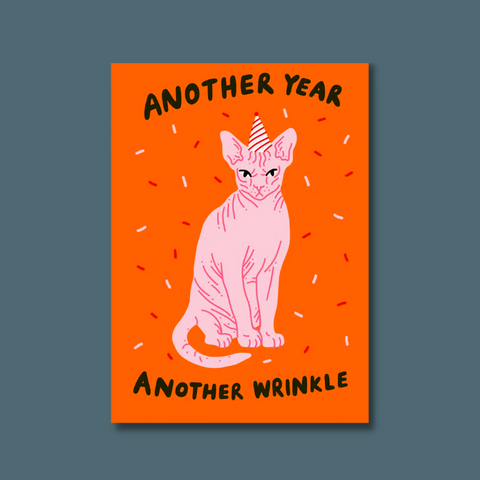 Hairless cat
