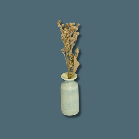 Small light green vase with dried flowers on a solid blue background