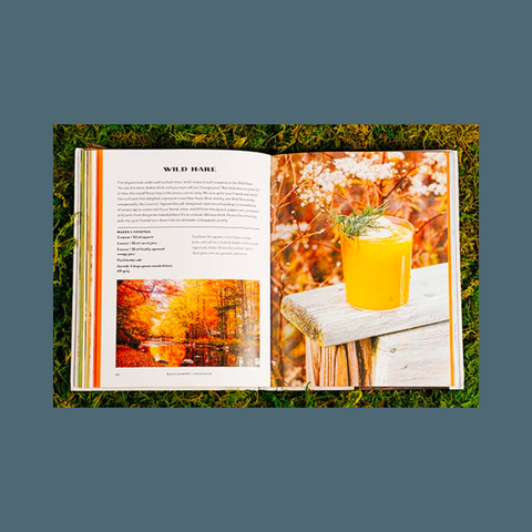 Interior pages