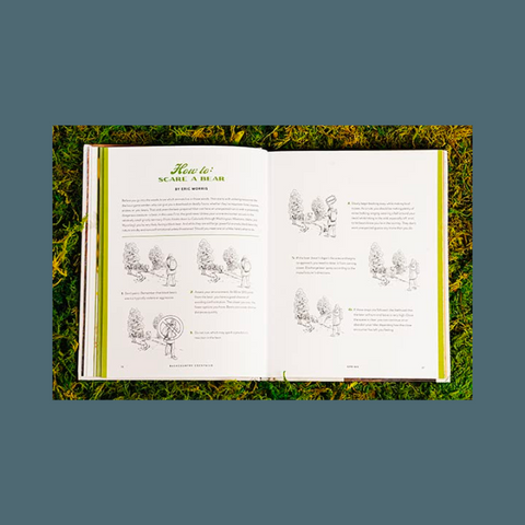 Interior pages