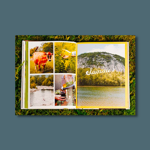 Interior pages