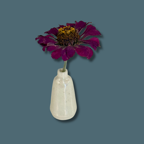 Small white vase with a single purple flower on a solid background