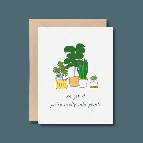 Houseplants