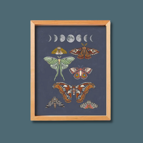 Moths and moons