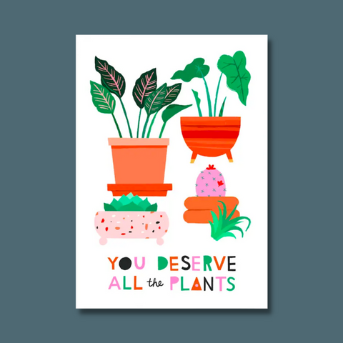 Colorful houseplants
