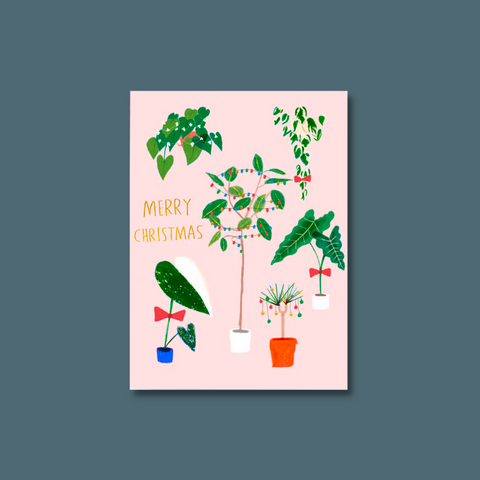 Houseplants decorated