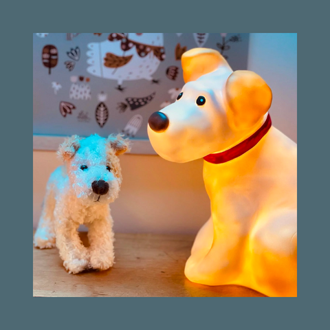 White dog with tan spots
