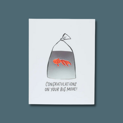 Goldfish in a bag