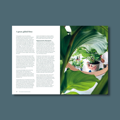 Interior pages