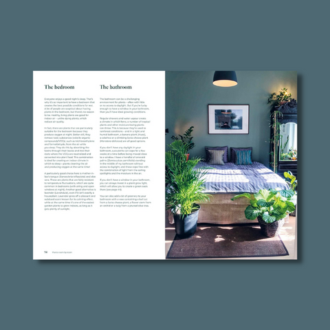 Interior pages