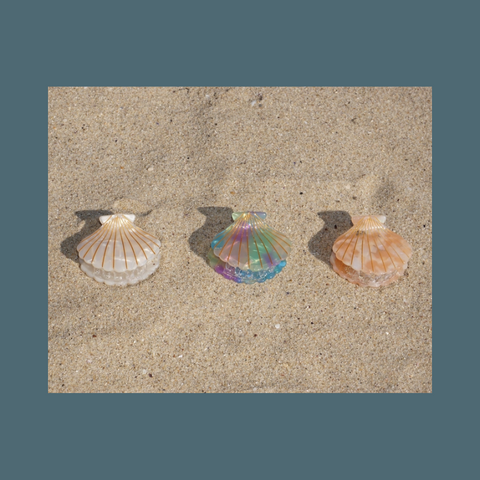 Mermaid Seashell Hair Clip