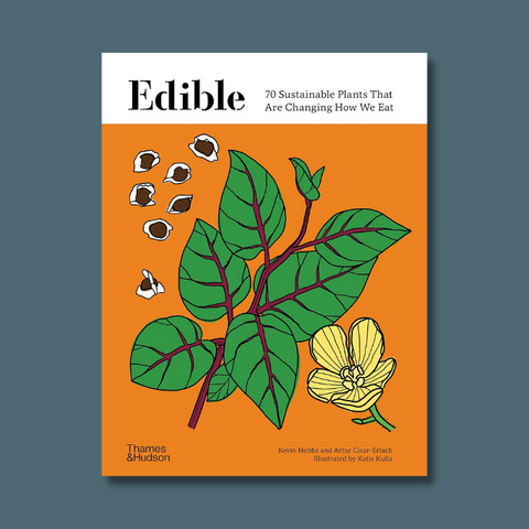 Cover of the book