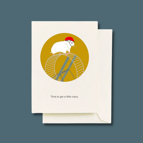 Hamster wearing a helmet