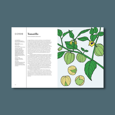 Interior pages
