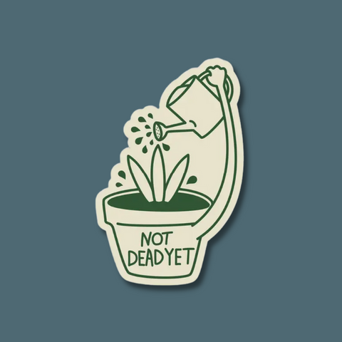 Potted plant watering itself