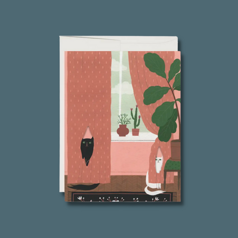 Cats behind curtains