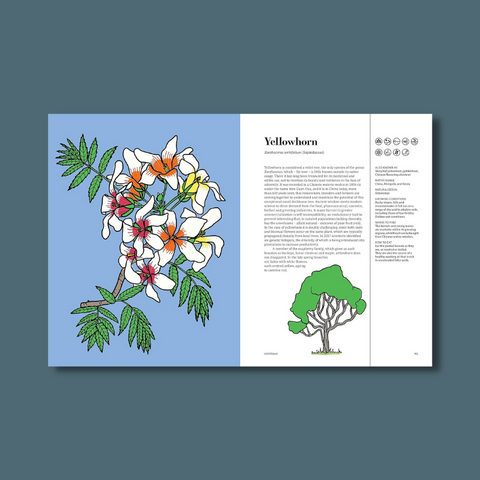 Interior pages