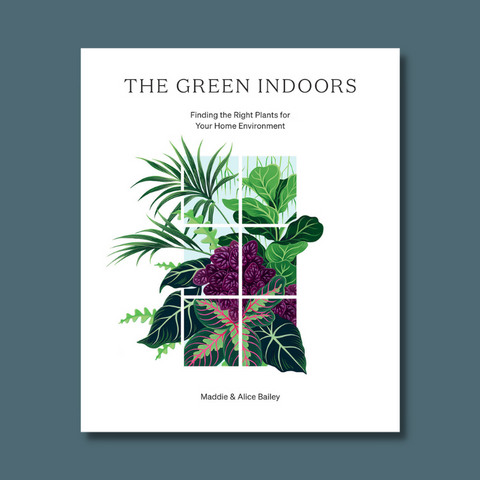 Plants in a house