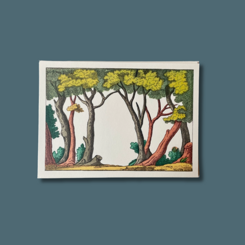 Through The Trees Card Set
