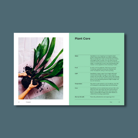 Plant care