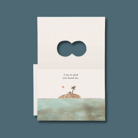 Turtle on a desert island