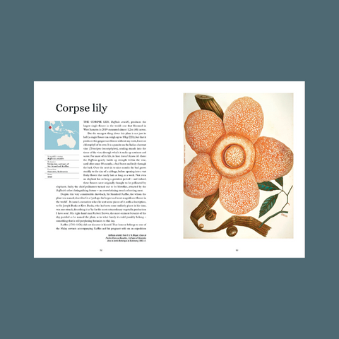 Plant Atlas