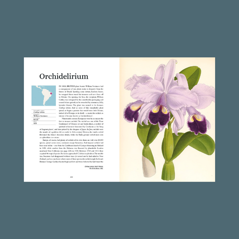 Plant Atlas