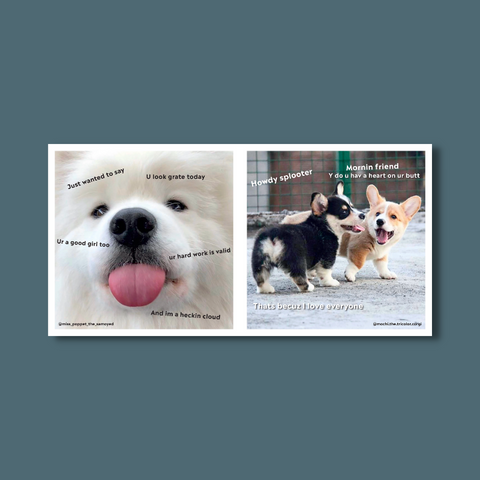 Doggos Book