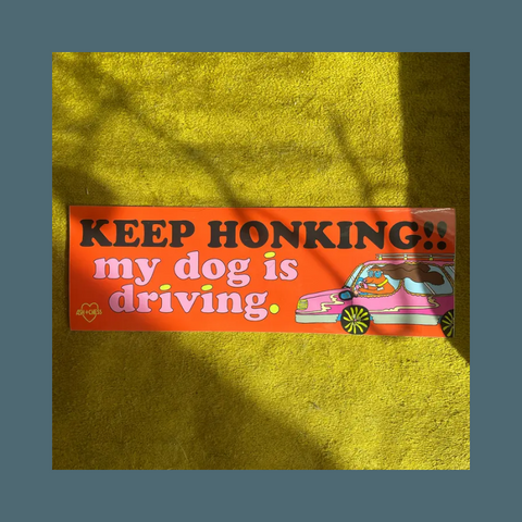 Dog in a car with text around it