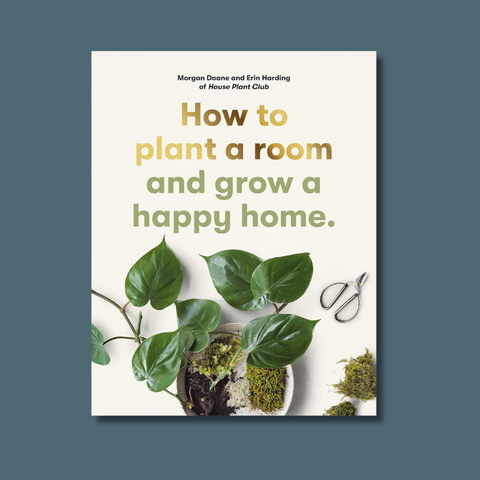 How To Plant A Room: And Grow A Happy Home