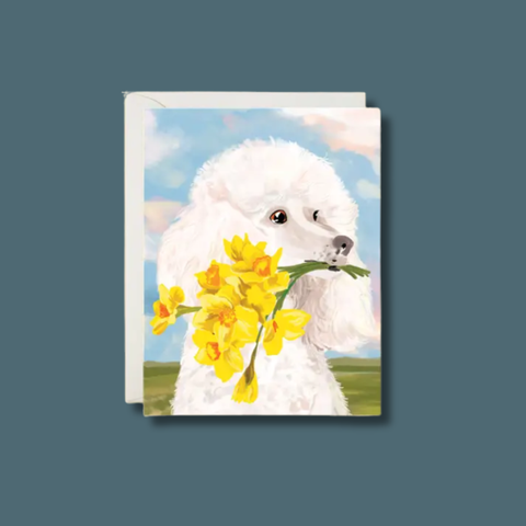 Poodle Daffodil Card