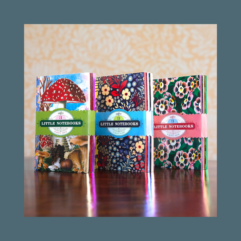 Fumiha's Little Notebook Set
