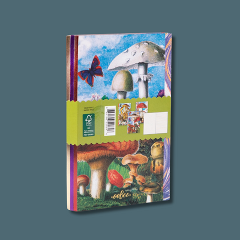 Fumiha's Little Notebook Set