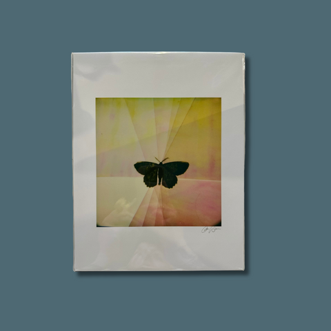 Butterfly Polaroid Art Print