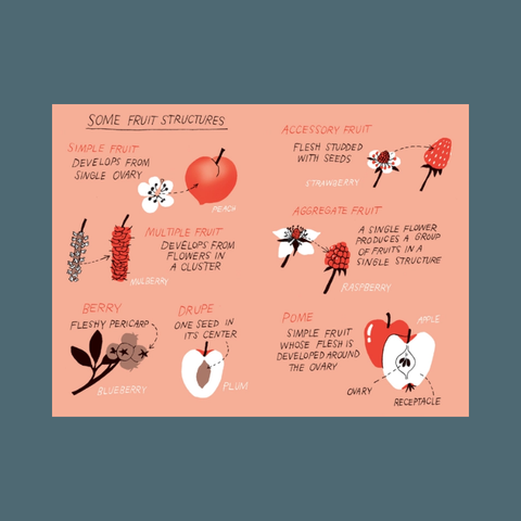 Pocket Nature: Fruit Harvesting