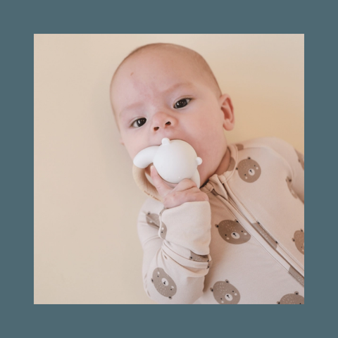 Baby Bear Teether Rattle 