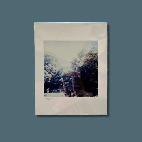 Greenville Giraffe Polaroid Art Print