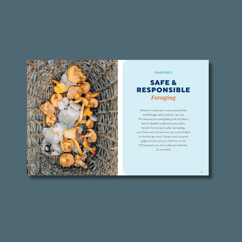 How To Forage For Mushrooms Without Dying