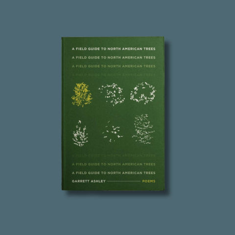 A Field Guide To North American Trees
