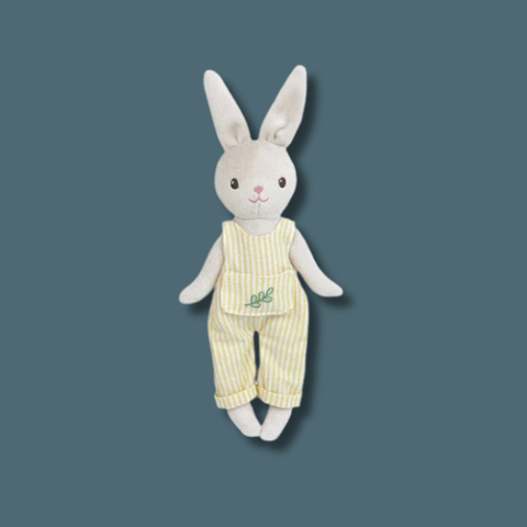 Baby Bunny Soft Toy