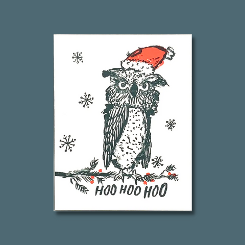 Owl with a Santa hat on