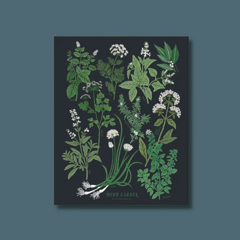 Herbs on black background