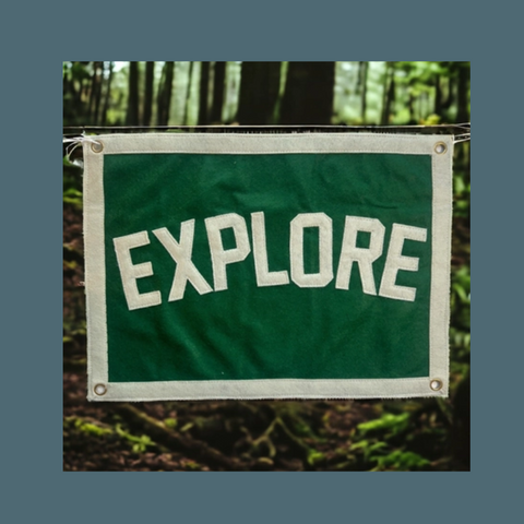 Explore Wall Pennant