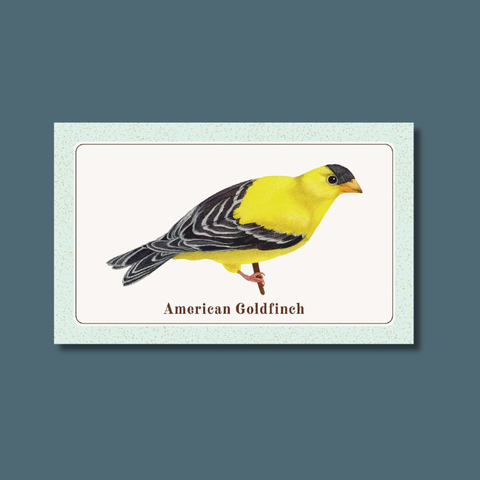 The Beginner Birder's Deck