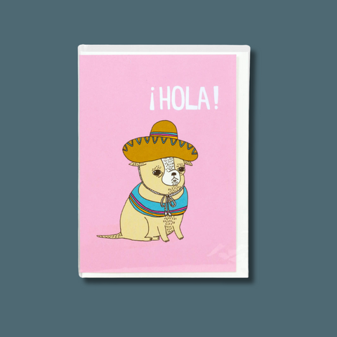 Dog with a sombrero on